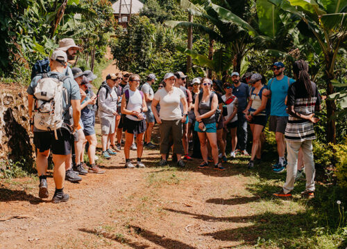 Materuni Water Falls Day Tour