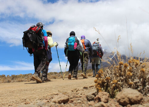 Kilimanjaro Rongai Route 7 Days