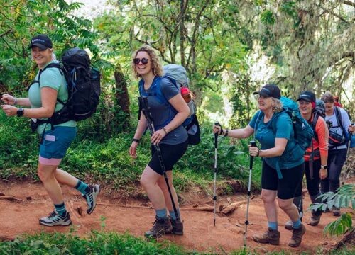 Kilimanjaro Lemosho Route 8 Days